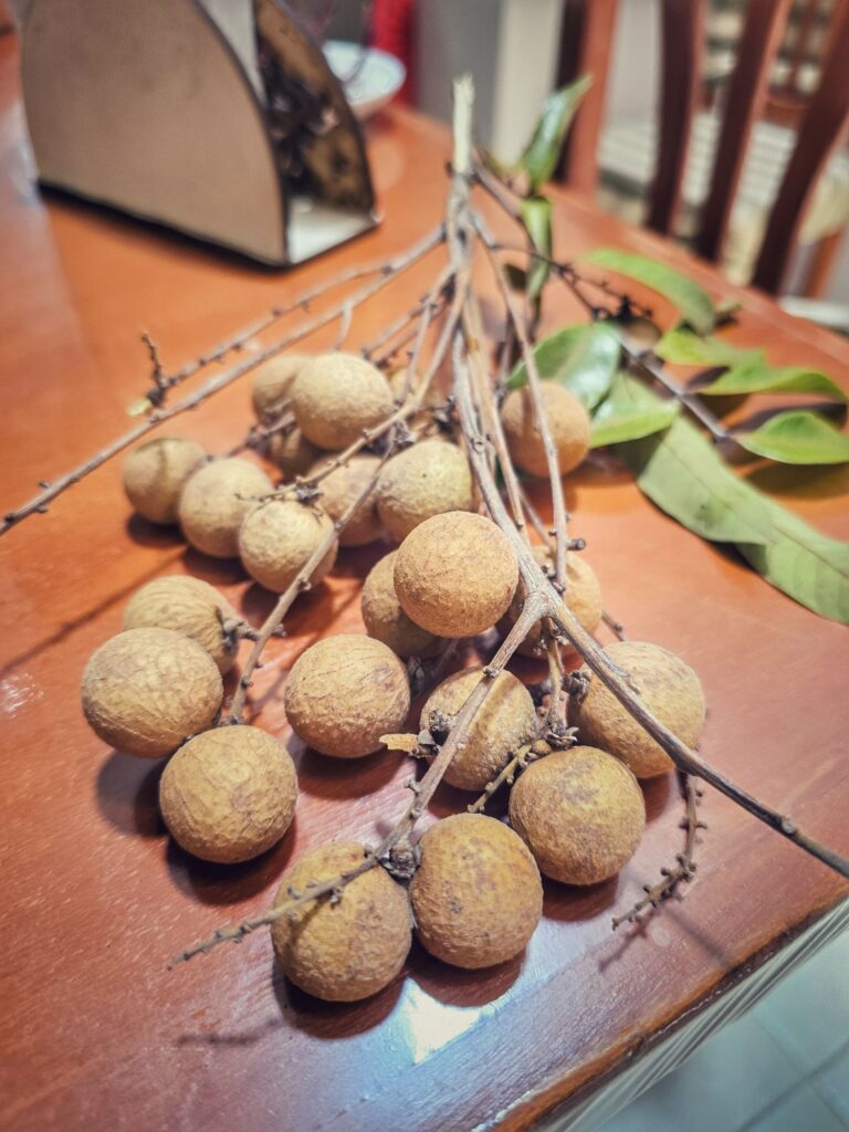 Alltag – Kaffee, Wäsche, und Arbeit …